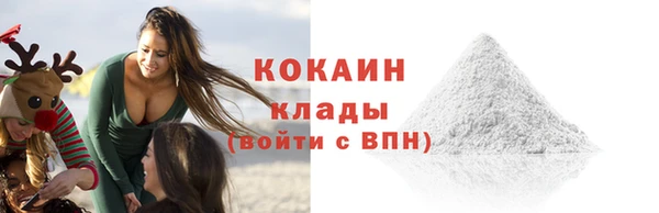 гидра Кинешма