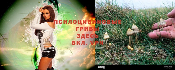 скорость Киреевск